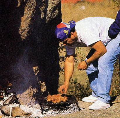 Rally Argentina Crdoba 1995